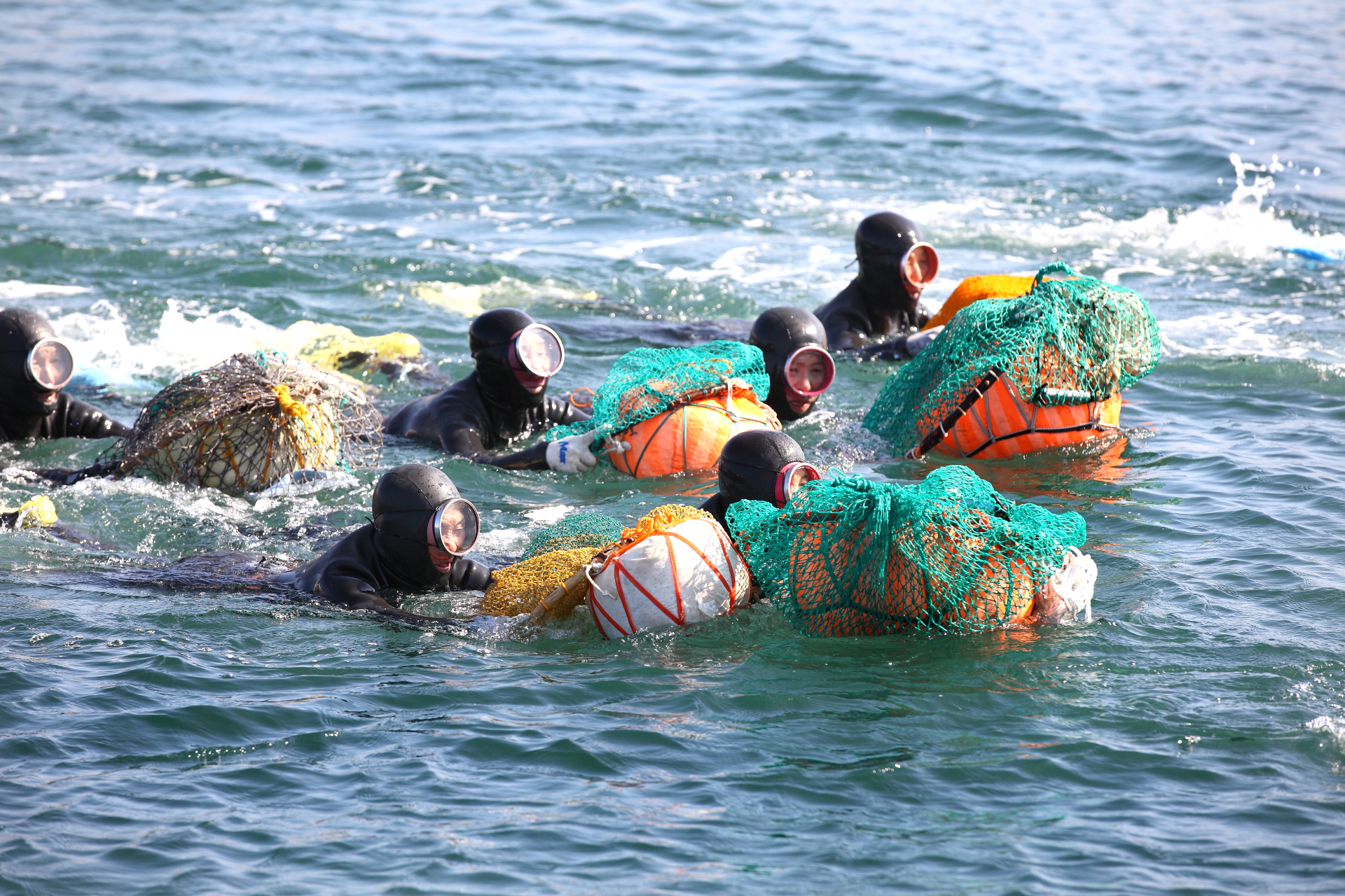 Haenyeo divers at work