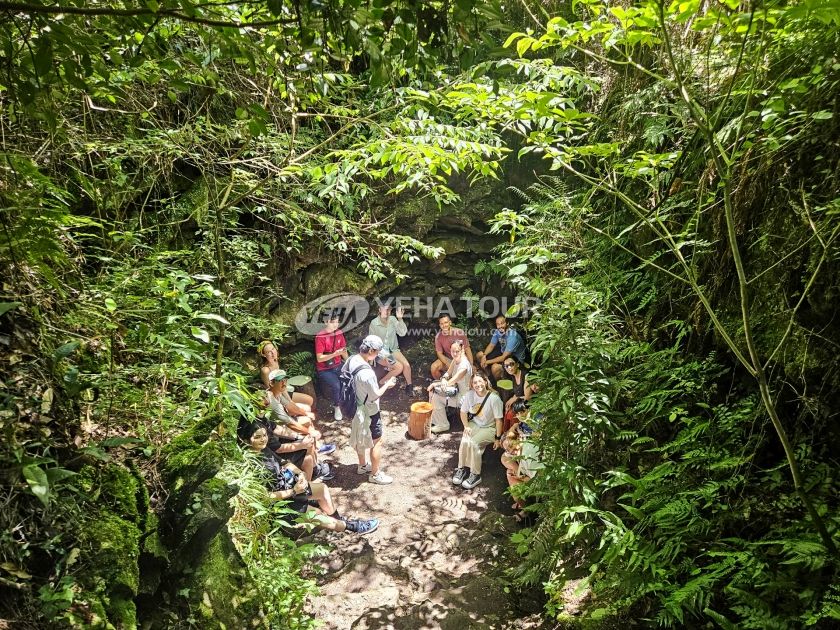 Fantasy Forest Gotjawal