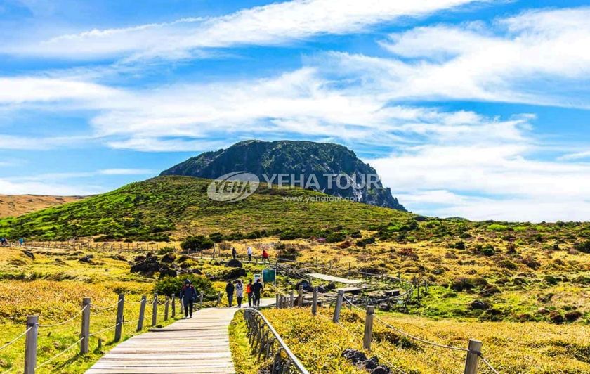 Boardwalk trail on Hallasan