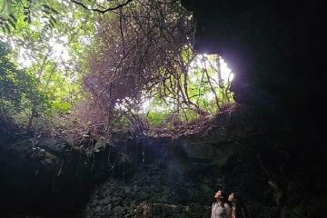 Gotjawal forest trail