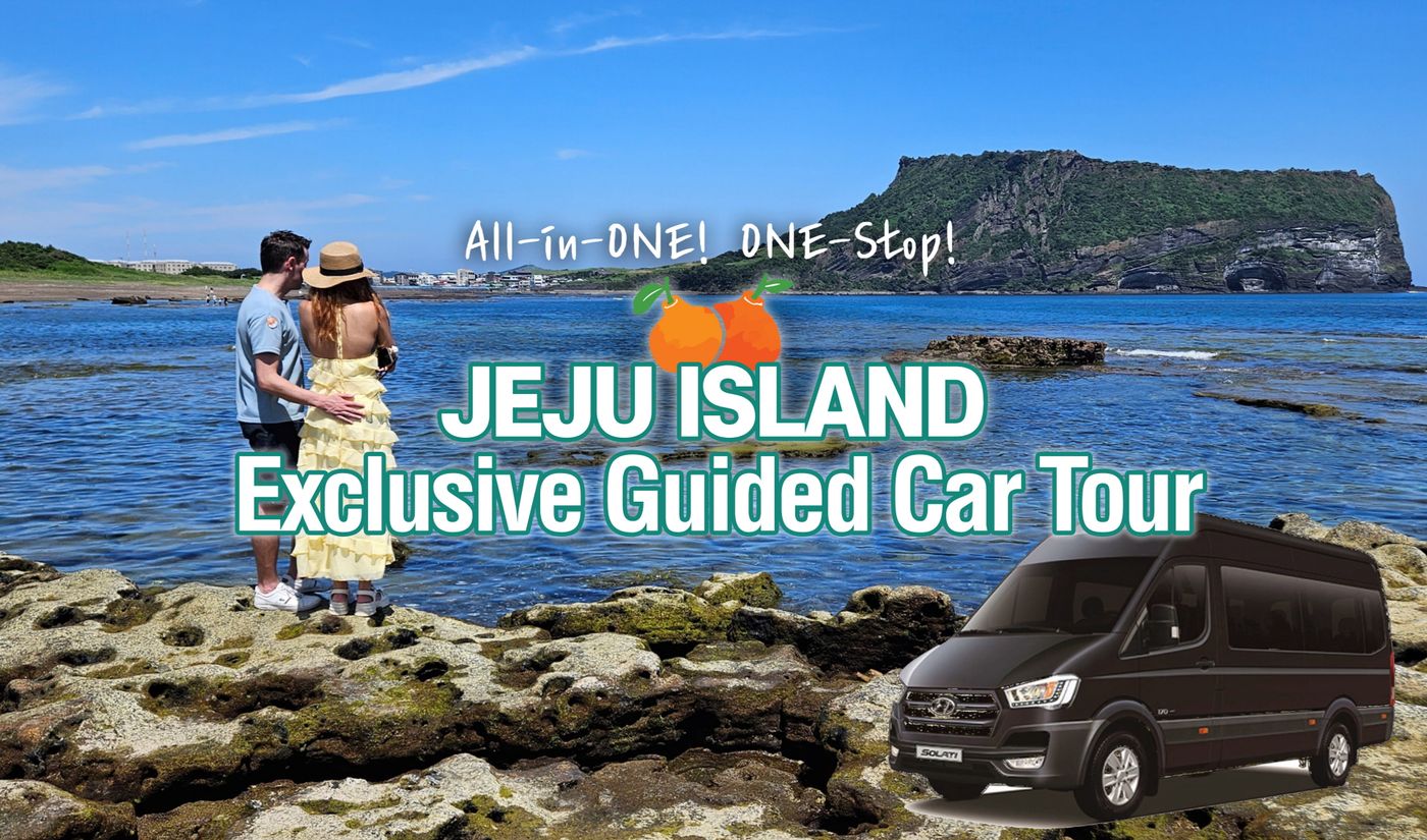 Private guided car tour in Jeju — couple on the volcanic coast with a private van