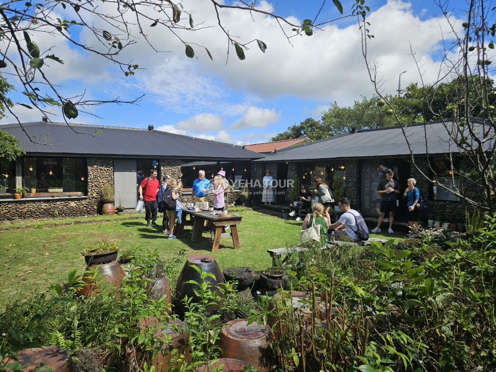 Private tour group enjoying a garden courtyard in Jeju